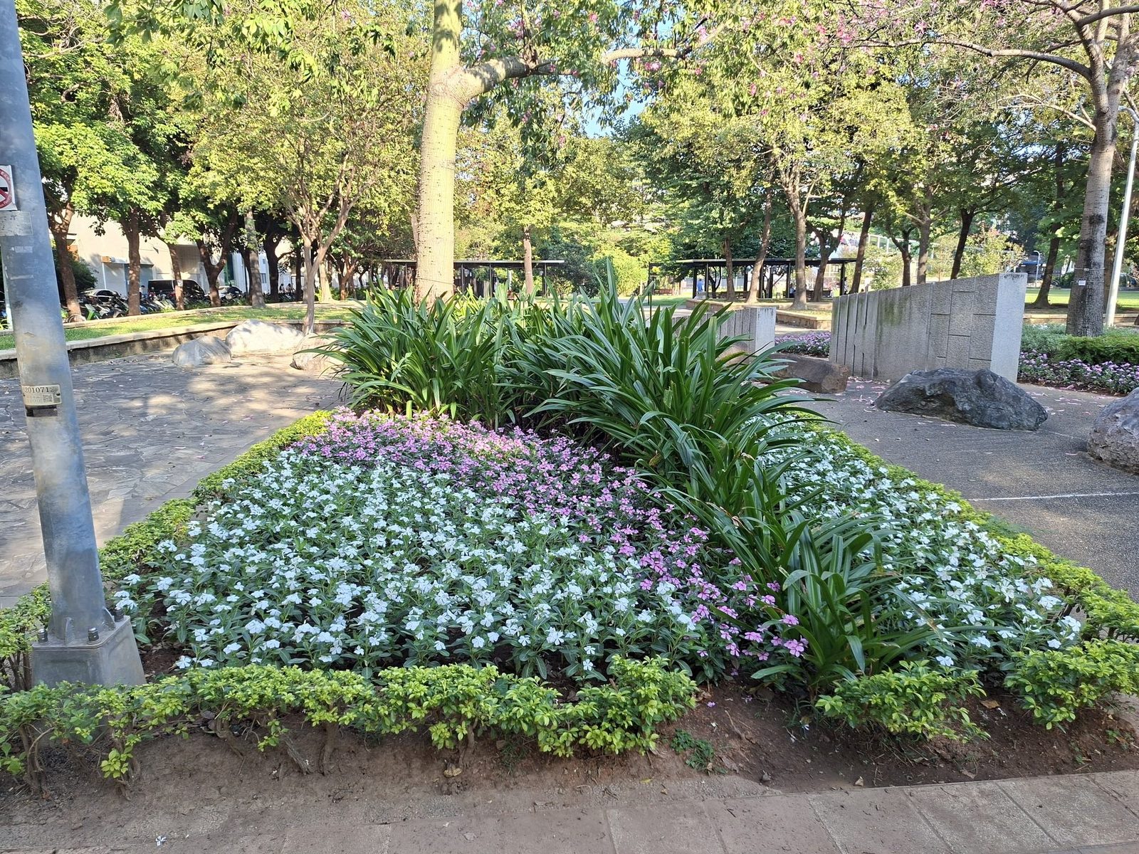 花影舞秋風 放開身心感官與林森公園綠意相遇