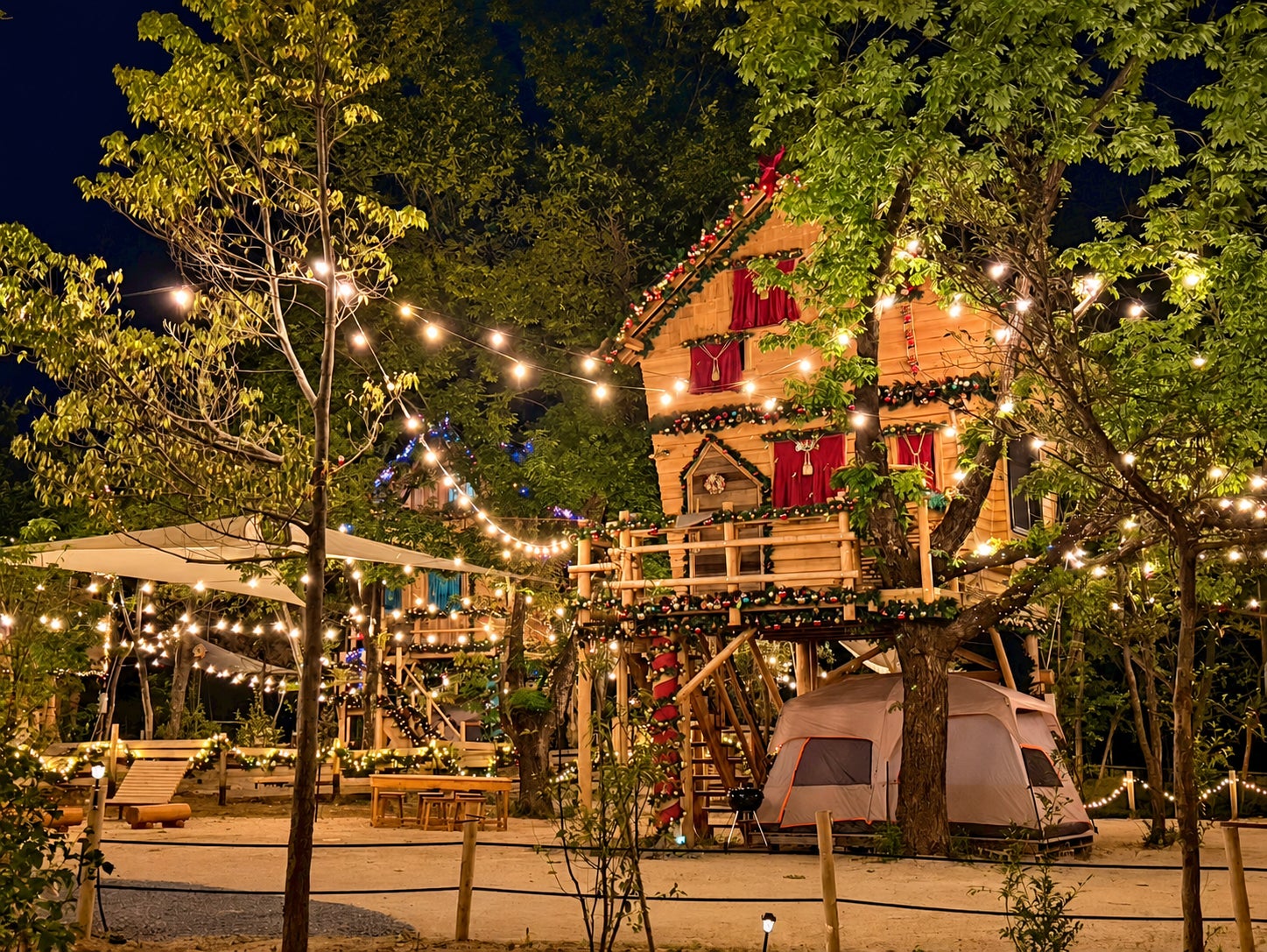 三重菰野樹屋設施「TREE HOTEL NIKKA」推生日月企劃 壽星兒童全免、大人半價
