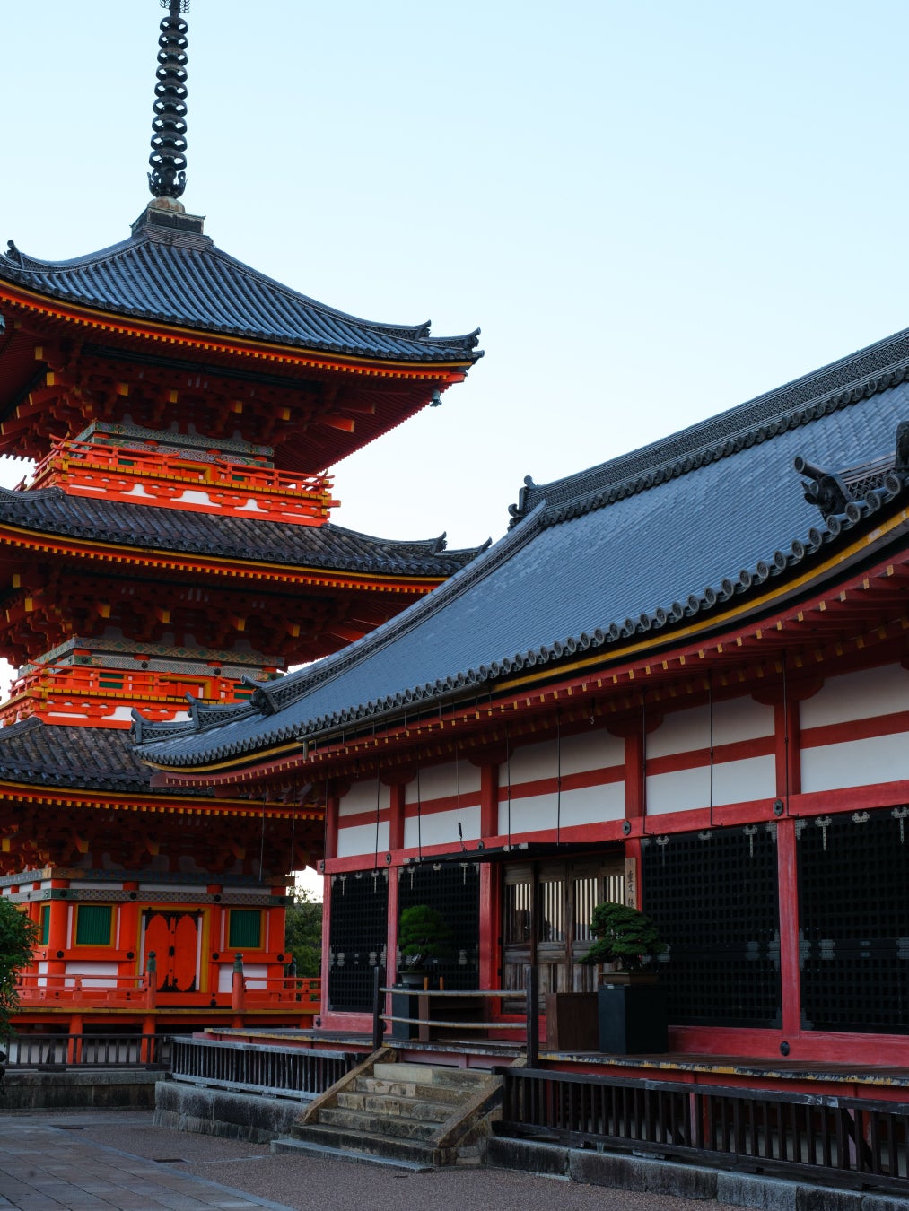 京都清水寺10月20日粉紅點燈加無人機秀 TRADMAN'S BONSAI經堂盆栽展同步登場
