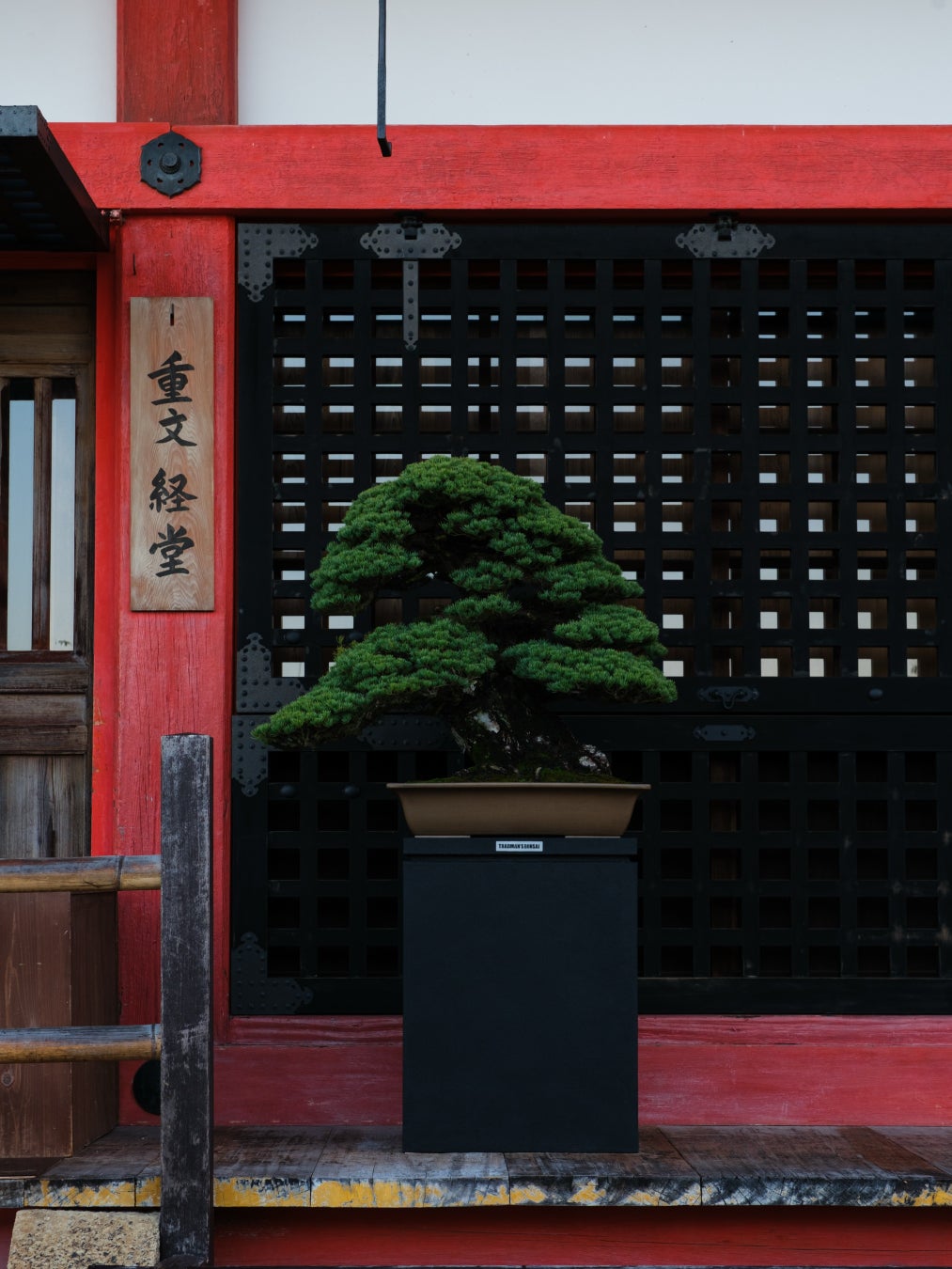 京都清水寺10月20日粉紅點燈加無人機秀 TRADMAN'S BONSAI經堂盆栽展同步登場