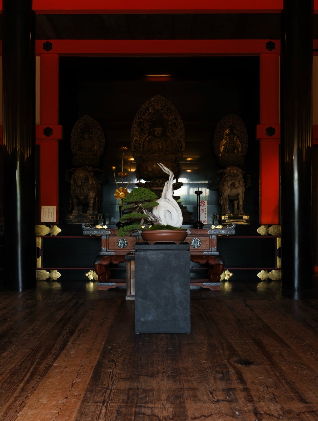 京都清水寺10月20日粉紅點燈加無人機秀 TRADMAN'S BONSAI經堂盆栽展同步登場