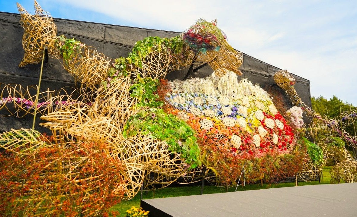 青森「弘前城菊與紅葉祭」10月30日開幕　四神系列花藝「金秋白虎」、夜間竹燈與賞楓遊船