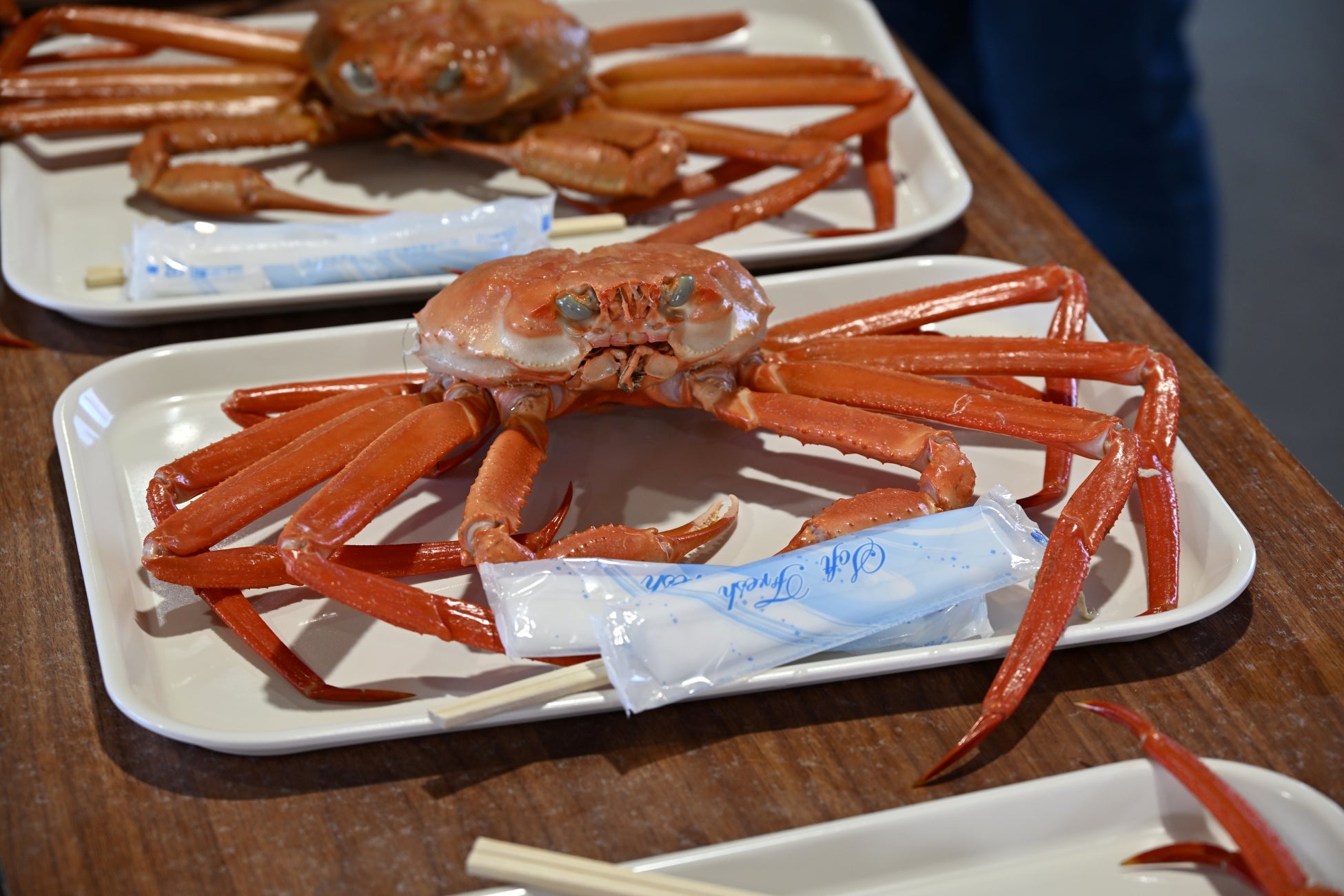 富山「魚津蟹大騷動」11月14、15日登場 整隻紅楚蟹4,000日圓、增至300隻須預約