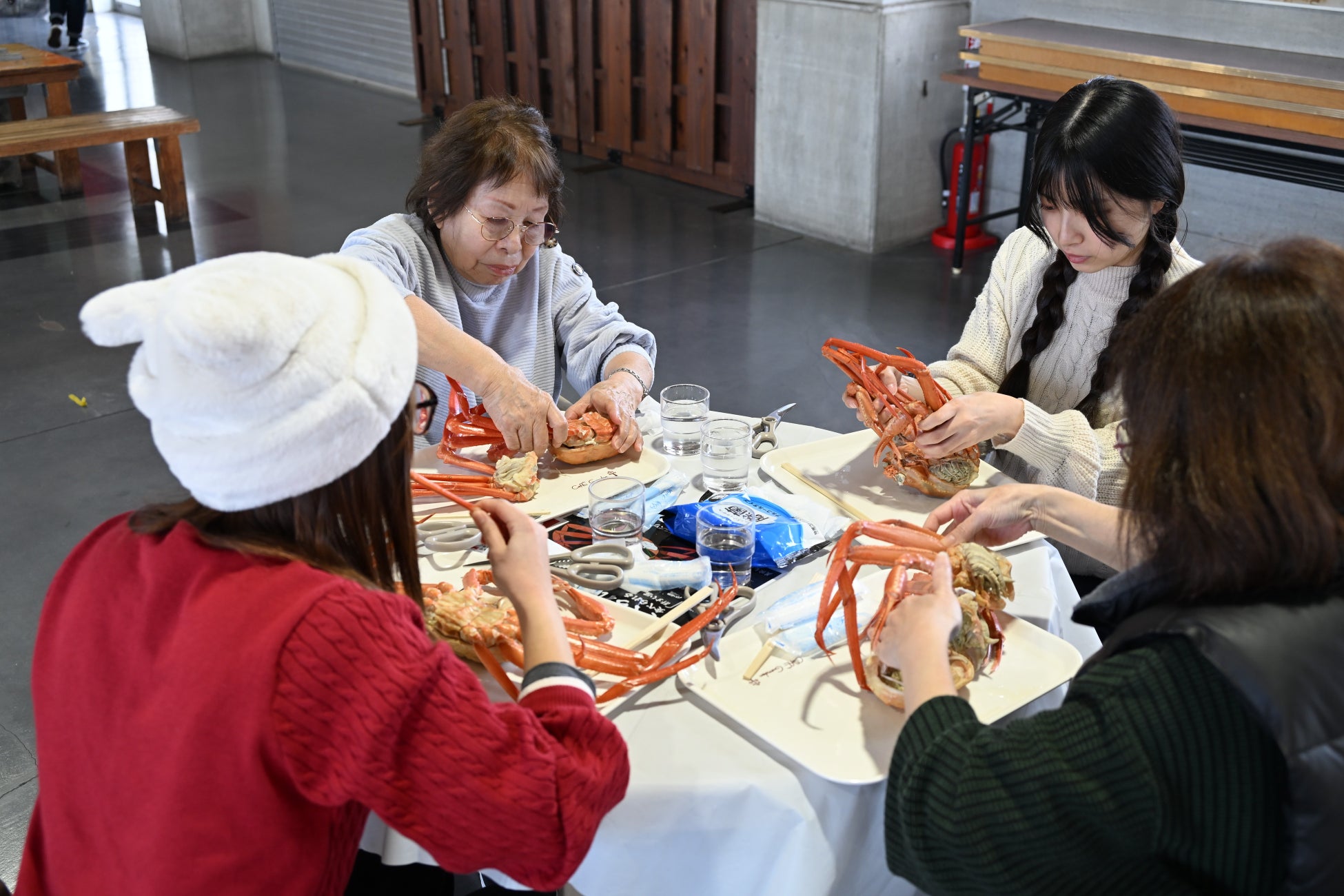 富山「魚津蟹大騷動」11月14、15日登場 整隻紅楚蟹4,000日圓、增至300隻須預約