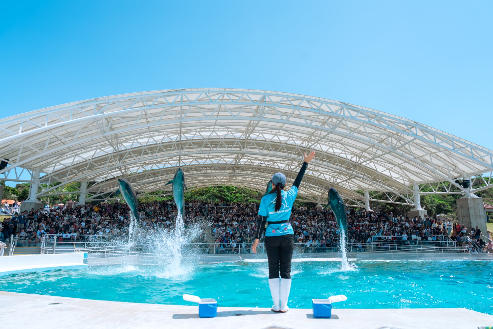 沖繩美麗海水族館11月1日開館24周年 前2,400名入館者送2027年原創月曆
