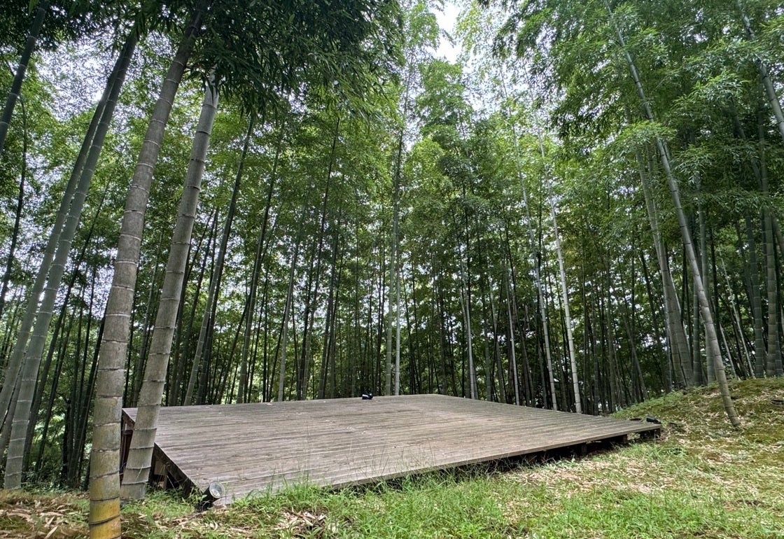 千葉勝浦竹林露營場「BAMBOO BASE KATSUURA」10月17日重新開幕 1,000平方公尺每日包場1組