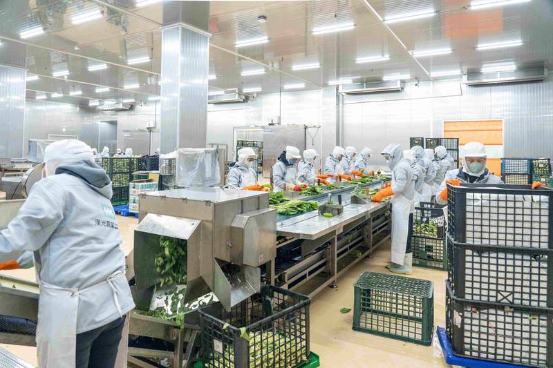 強化農糧產品冷鏈體系 提升產地供應鏈品質與韌性