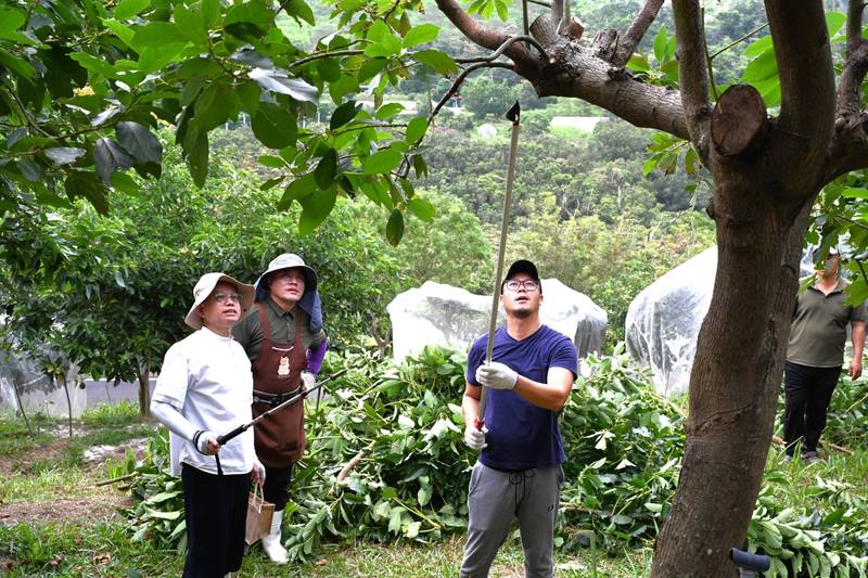 臺東農改場辦理有機果園經營管理班 活化果園六級化永續經營