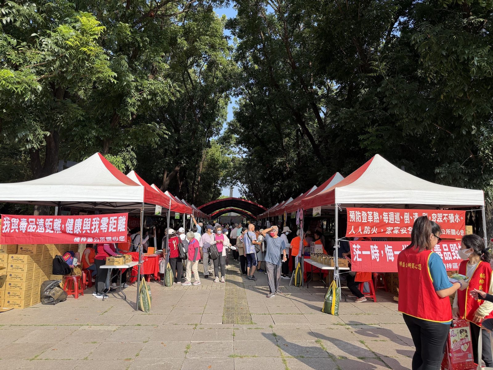2026歡樂重陽慶佳節 都會公園重磅登場