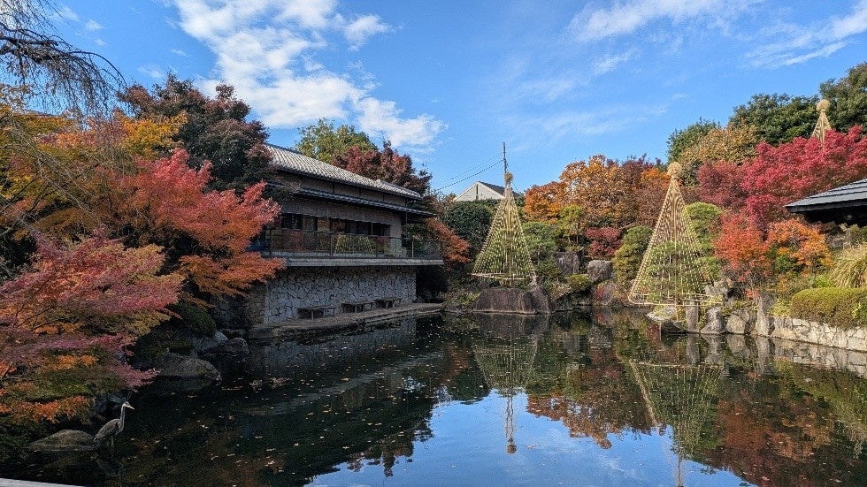 東京豐島區目白庭園秋季夜間點燈「TERASU2026」11月21日登場　茶室首度光雕投影
