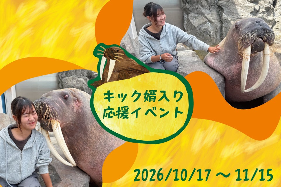 愛知南知多海灘樂園海象「Kick」將入贅大分　11月15日前辦送行活動、親臉頰體驗