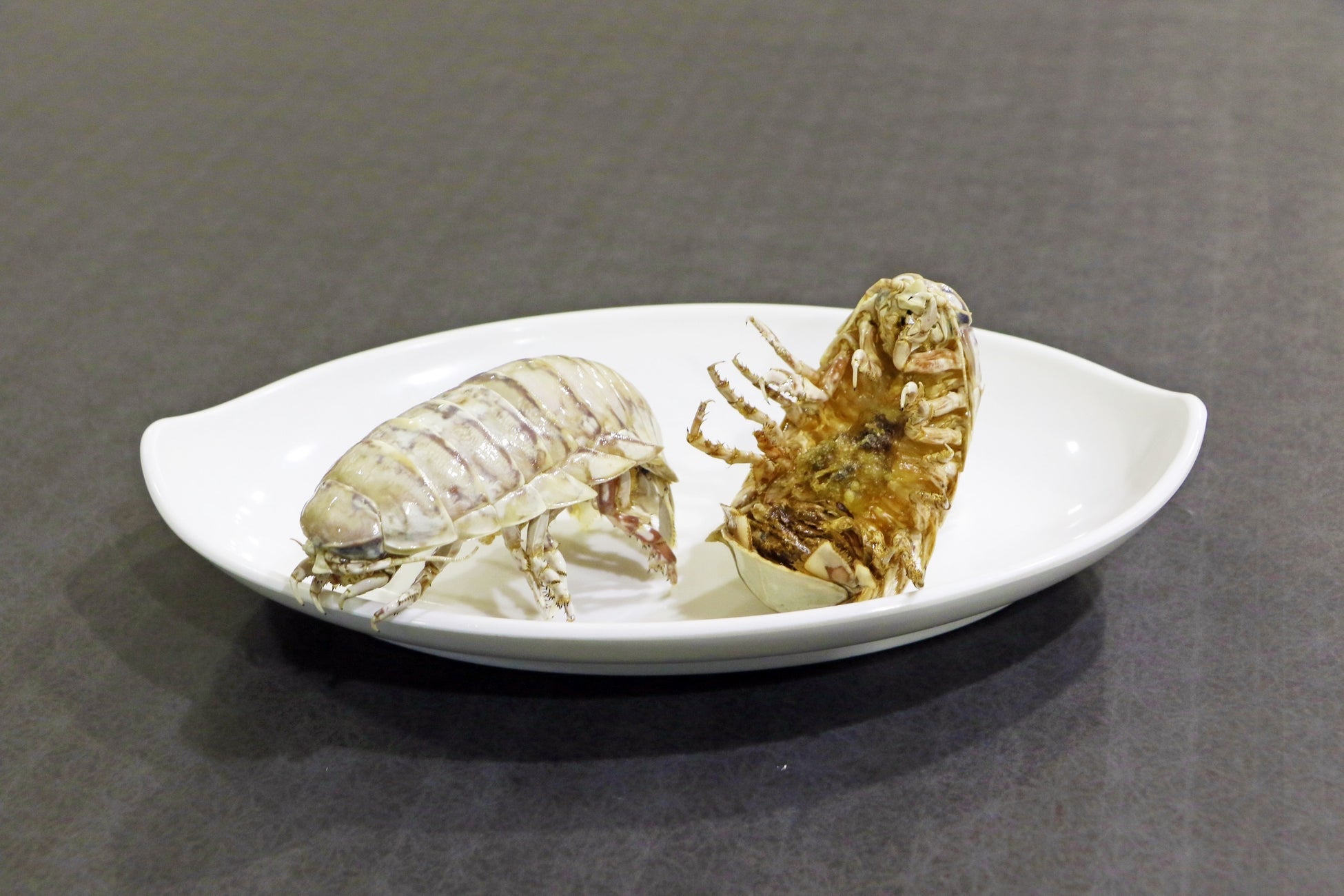 橫濱八景島海島樂園萬聖節特展　500隻大王具足蟲群聚、炸具足蟲990日圓