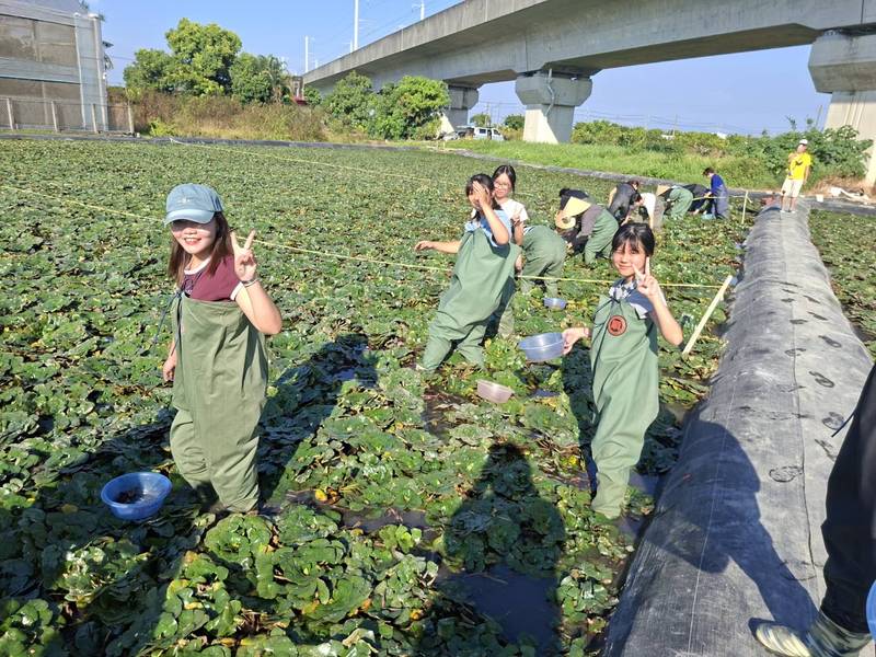 柚香、香草、菱角一次玩！ 臺南時令小旅行「平原線」帶你深度遊農村