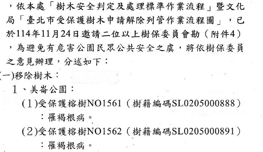 美崙公園李登輝總統及李元簇副總統樹114年鑑定罹患褐根病 為確保公園內活動民眾安全 已於115年4月移除
