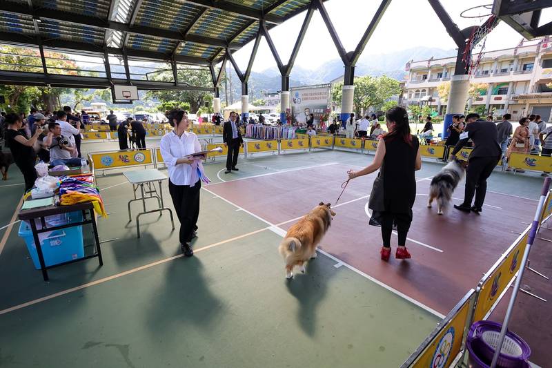 萌寵齊聚幸福宜蘭寵物嘉年華 寵物登記及狂犬病疫苗守護毛孩