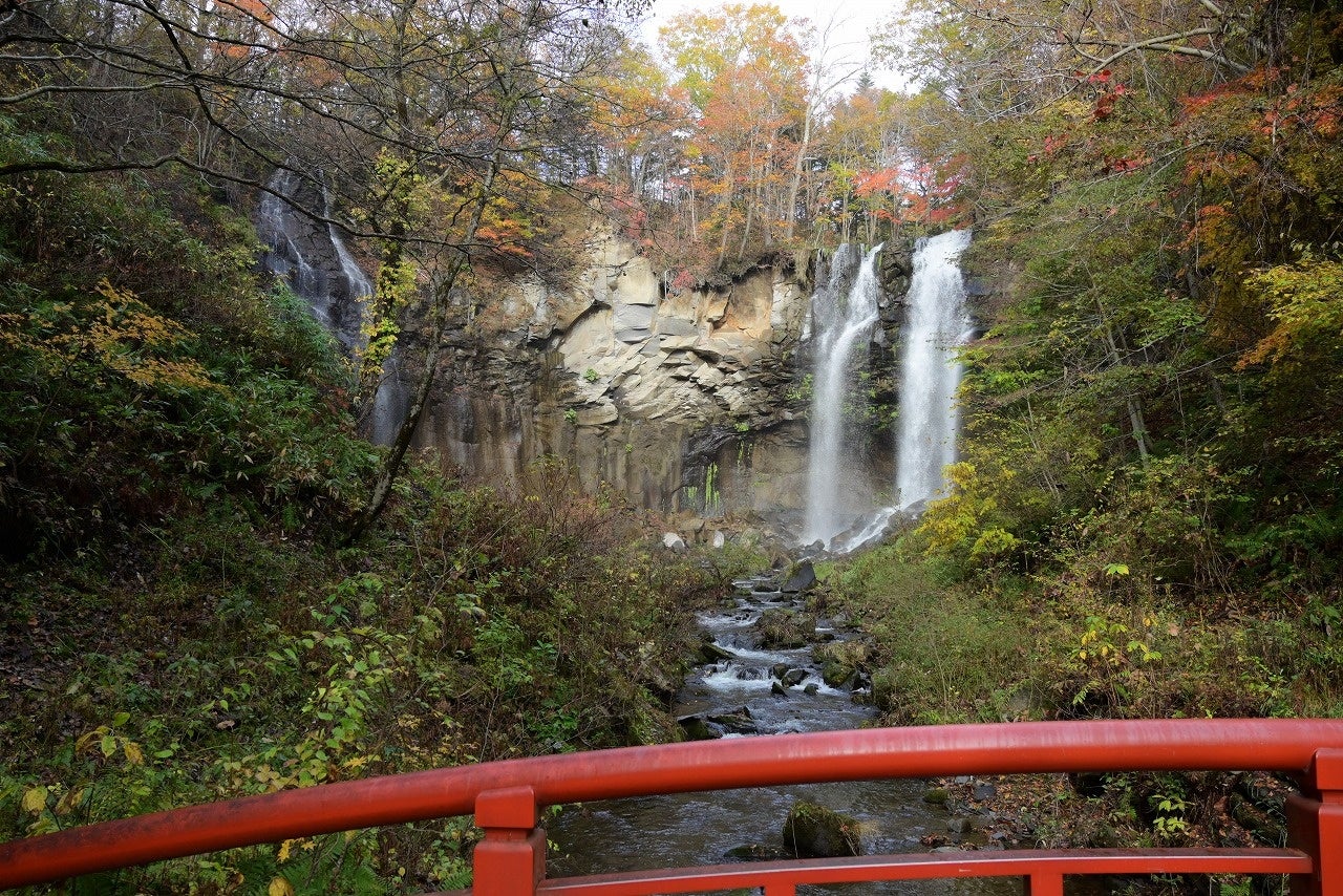 札幌瀧野鈴蘭丘陵公園紅葉正盛　「瀧野紅葉祭」辦到11月10日、10月25日加開園內接駁車