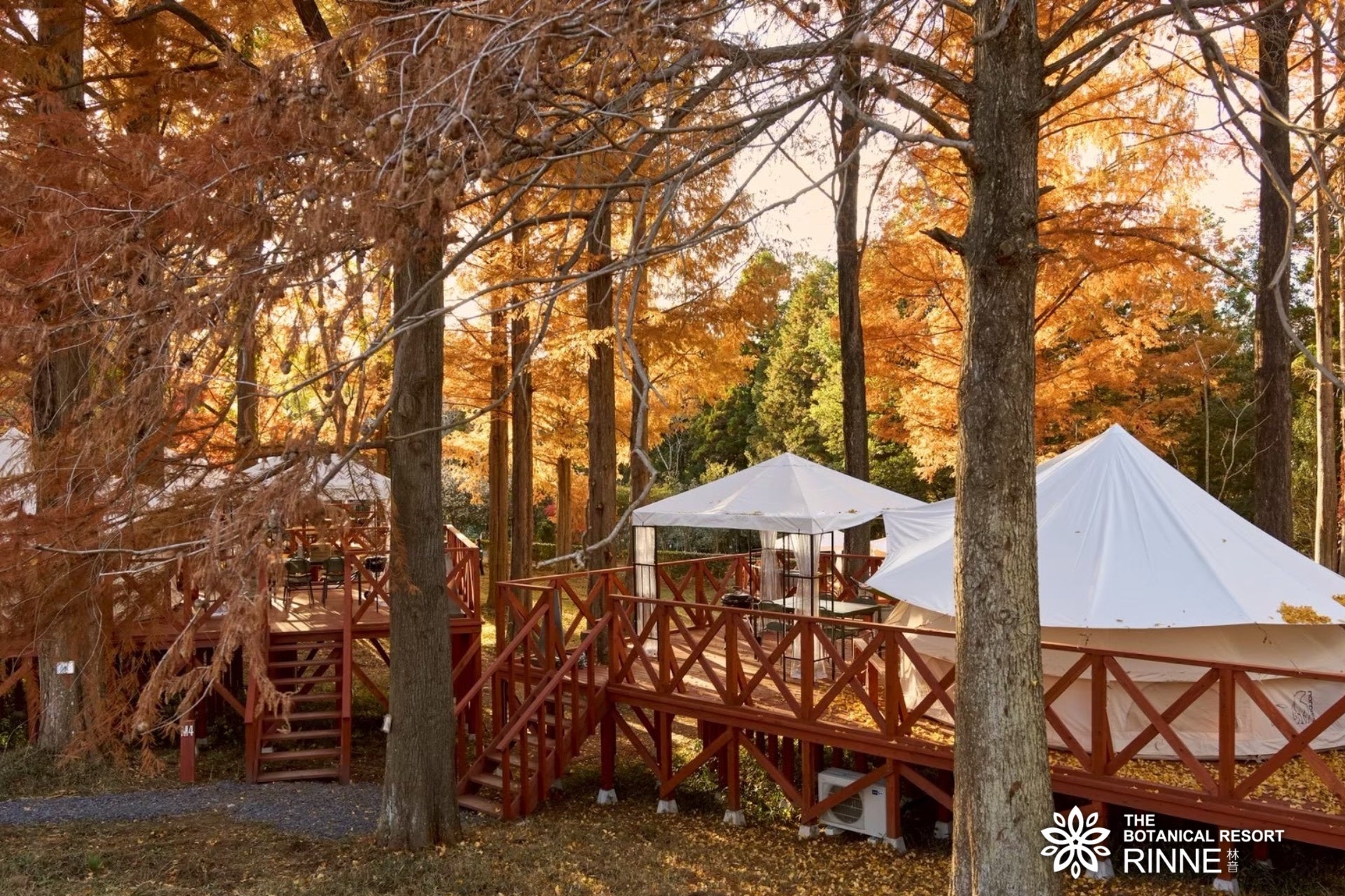 茨城「可以住的植物園」林音推「零距離紅葉」　11月限定紅葉溫泉菇菇鍋方案