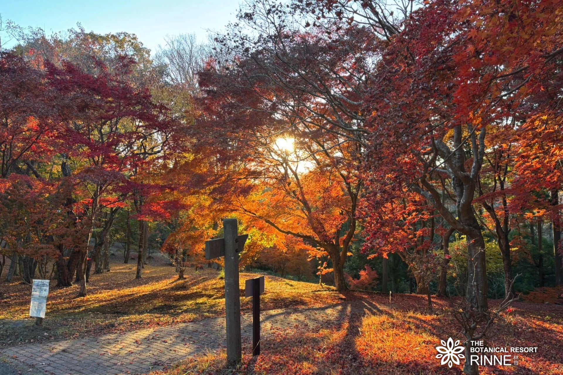 茨城「可以住的植物園」林音推「零距離紅葉」　11月限定紅葉溫泉菇菇鍋方案