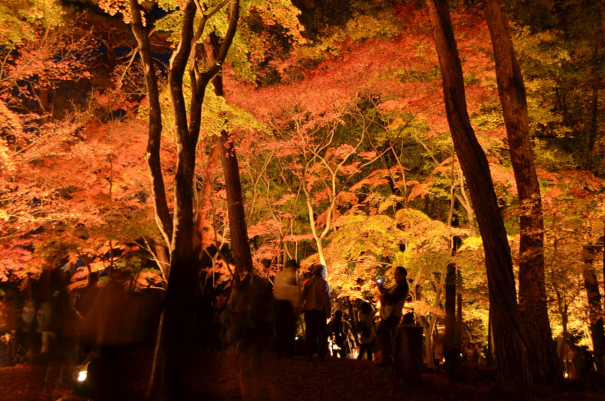 秩父武甲溫泉推長瀞賞楓優惠 出示長瀞紅葉祭通行證送毛巾組、地瓜特調限定