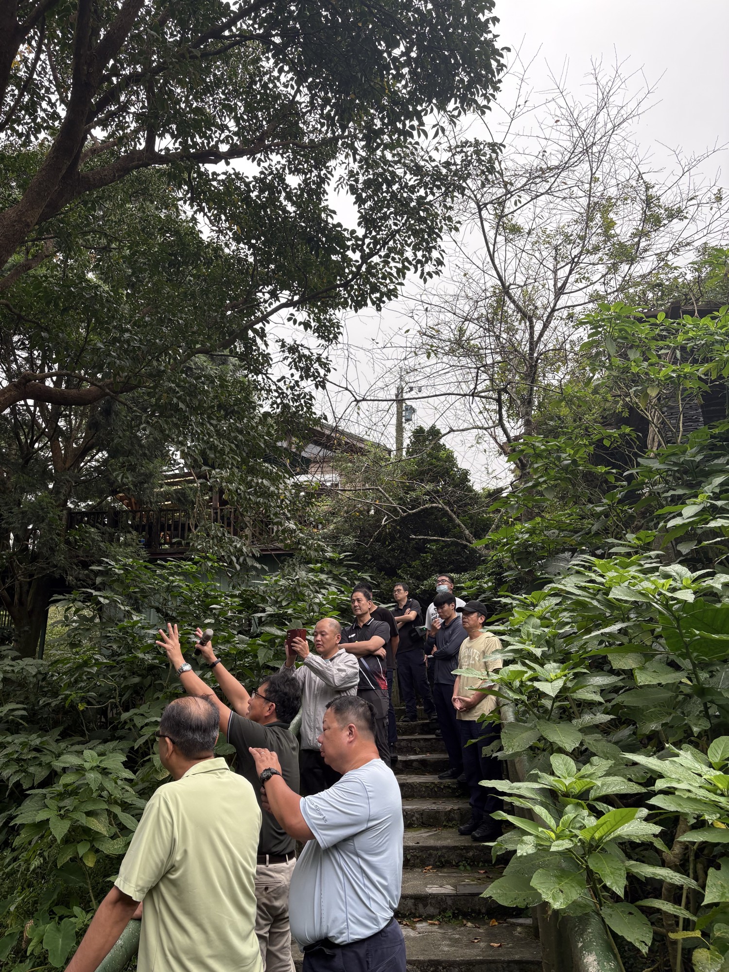 同仁沿金針山步道健行