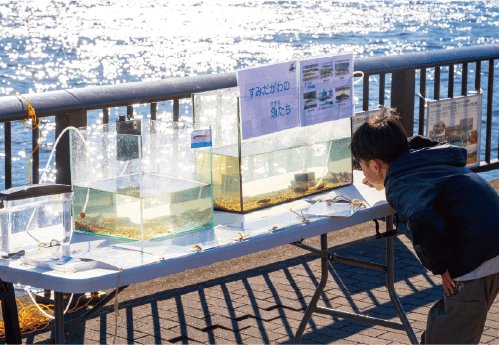 東京荒川「隅田川開放露台」10月24、25日登場　免費遊船、小火車與迷你水族館