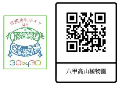 神戶六甲高山植物園紅葉即將滿開　10月31日至11月15日夜間延長開園