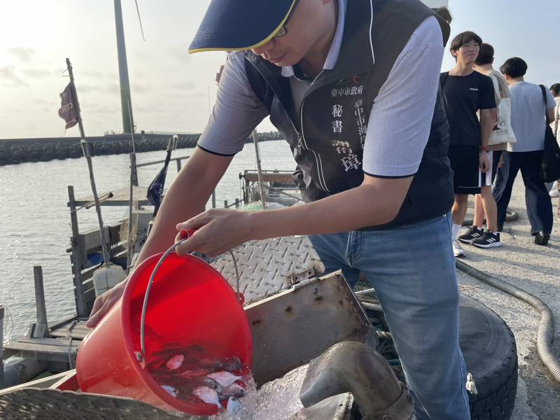 中市府放流3.14萬尾魚苗 攜手青年學子護海