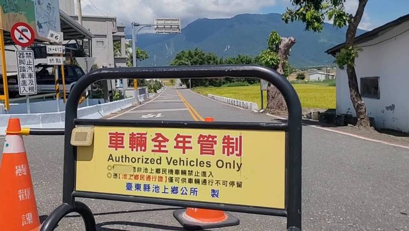池上秋收賞稻趣　關山警提醒：導航僅供參考、汽機車勿闖伯朗大道