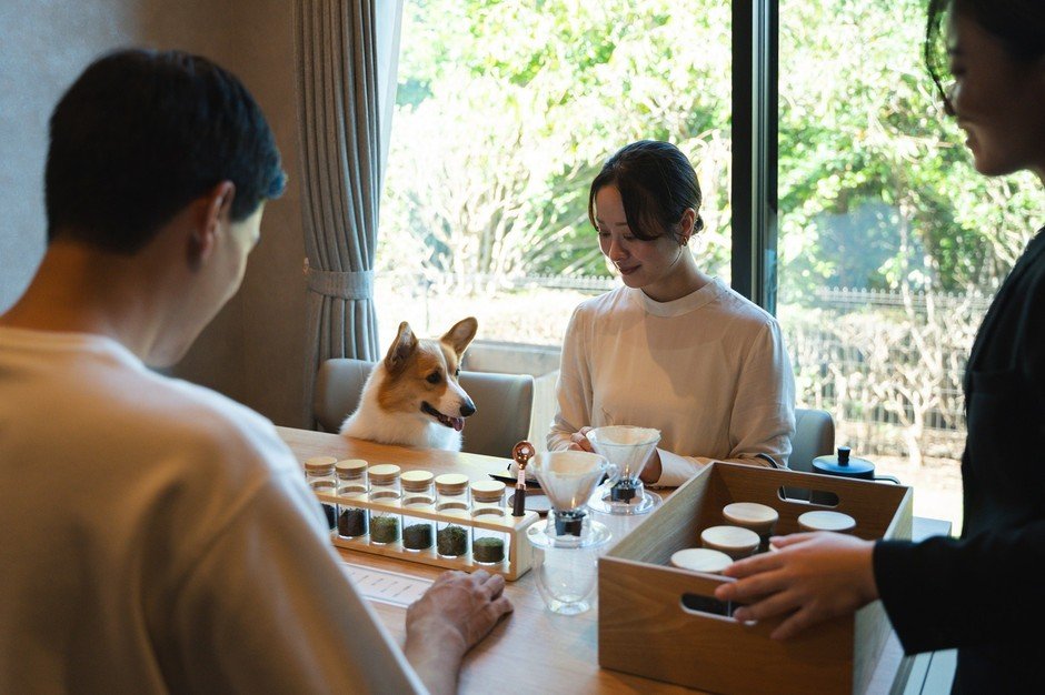 熱海寵物VILLA推「禮賓住宿方案」每天限4組　下午茶、晚餐準備與紀念照