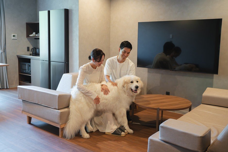 熱海寵物VILLA推「禮賓住宿方案」每天限4組　下午茶、晚餐準備與紀念照