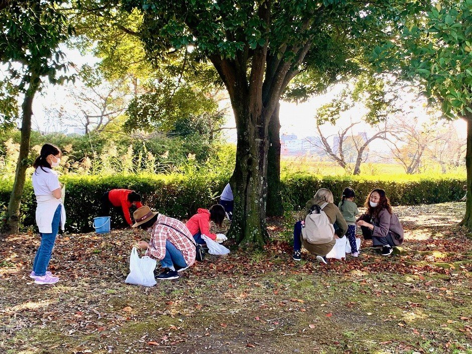 奈良平城宮跡「撿橡實大賽」11月15日 免費參加、橡實捐給奈良鹿