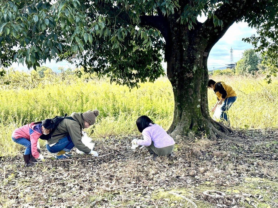 奈良平城宮跡「撿橡實大賽」11月15日 免費參加、橡實捐給奈良鹿