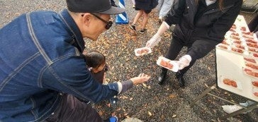 靜岡「清水港鮪魚祭2026」11月7、8日登場　免費試吃、冷凍鮪魚切割現場特賣