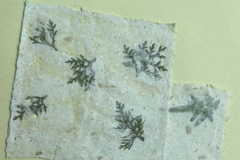 縱管處「餐桌上的部落旅行」織羅大腳印餐桌迎秋收,風土盛宴再掀熱潮