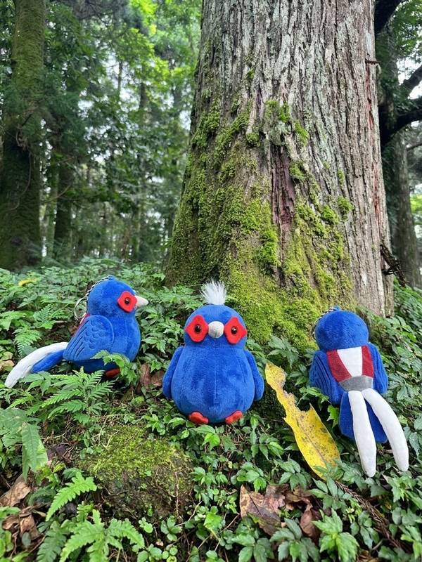 國家森林館走入國際旅展 探索臺灣霧林之美
