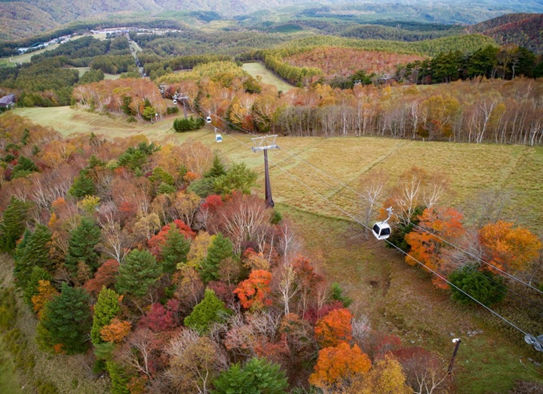 栃木Hunter Mountain鹽原首辦紅葉市集 10月31日、11月1日免費入場,紅葉纜車至11月8日