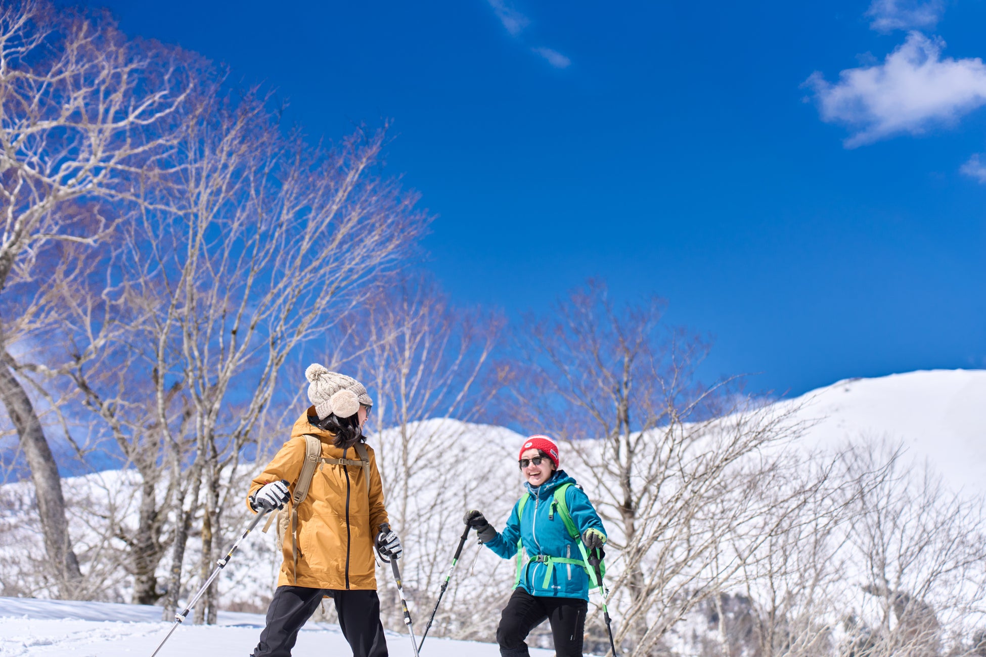 LUCY尾瀨鳩待挑戰2027年4月17日最早開幕 沒開成全額退費,春季雪山方案開賣