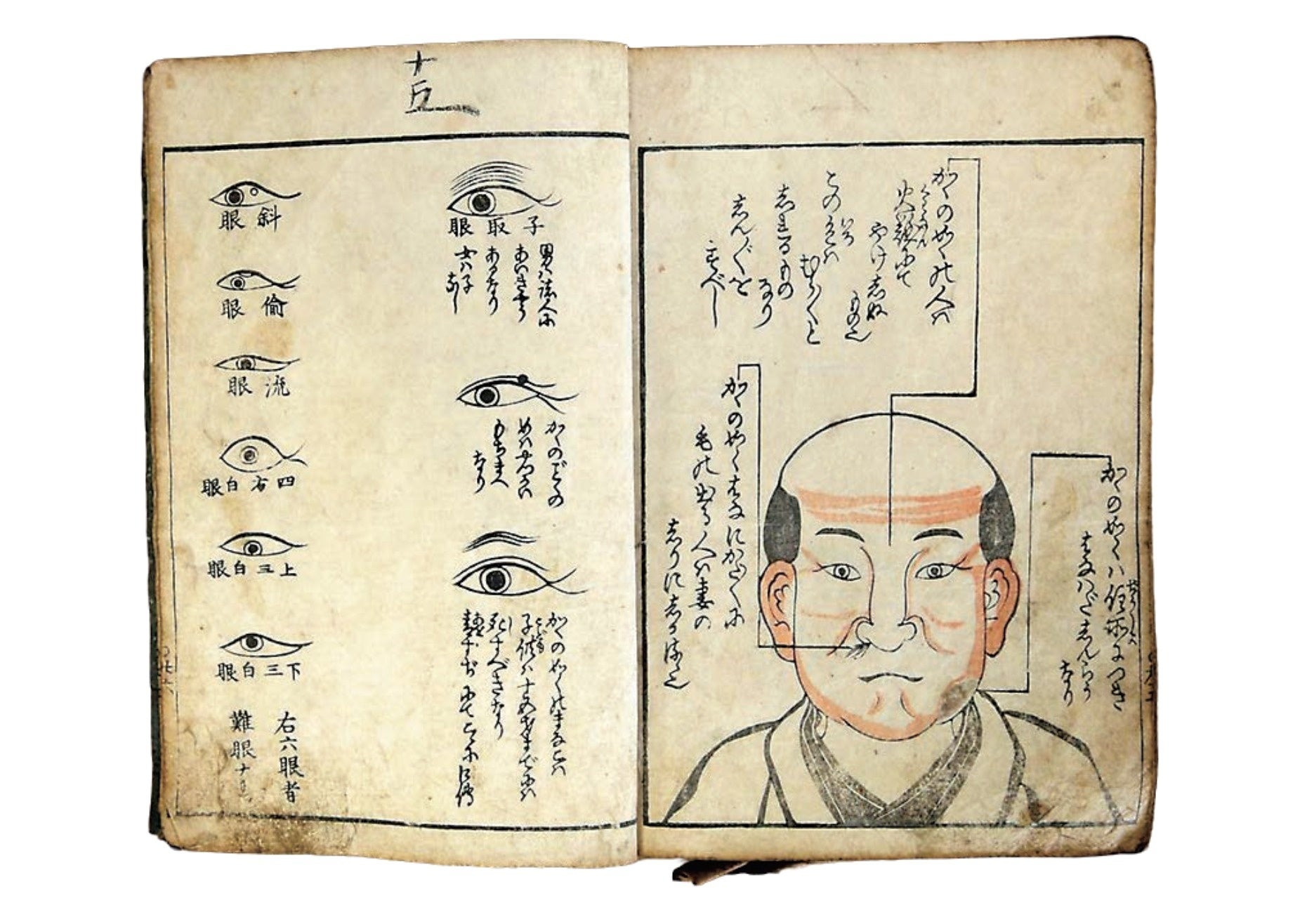 岩手遠野市立博物館「占卜與咒術」特展 11月1日起展出人相書與咒符