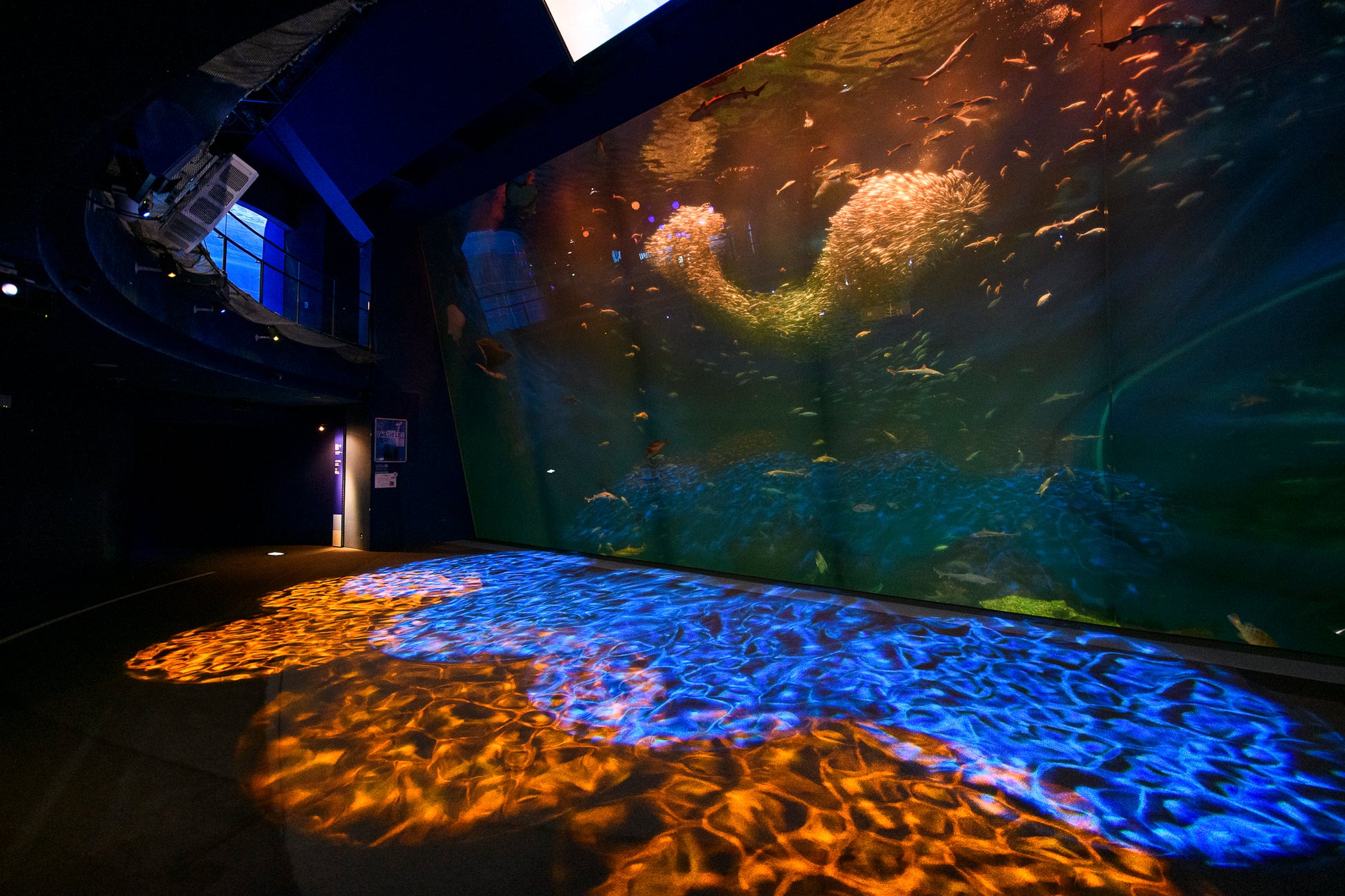 大洗水族館11月22日首辦包場夜間活動　提燈逛夜晚水族館，每組2人6,000日圓