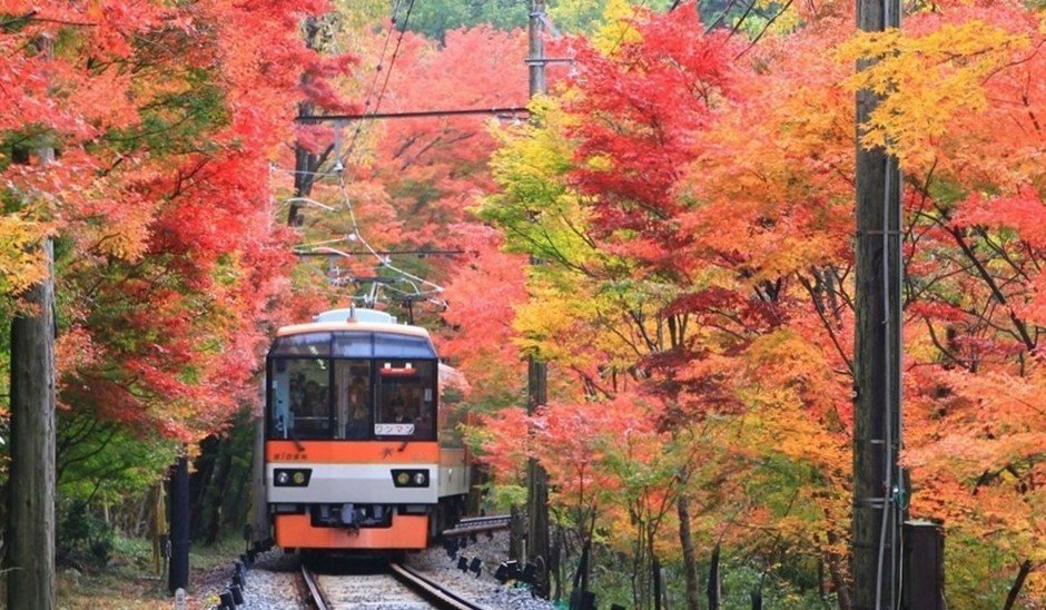 京都叡山電車「紅葉隧道」11月7日起慢行與點燈 11月13日起全車對號入座特別列車