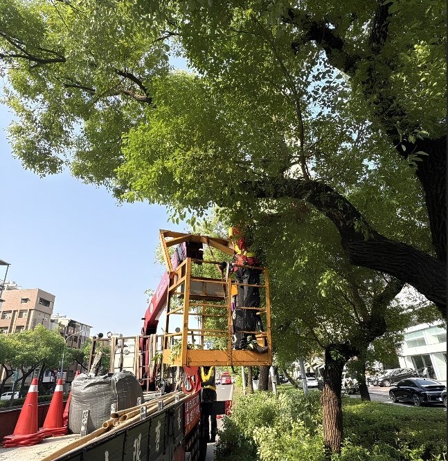 薔琵颱風逼近! 高市公園處全面強化防颱整備 守護市民安全