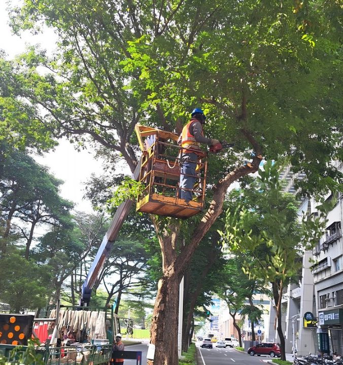薔琵颱風逼近! 高市公園處全面強化防颱整備 守護市民安全