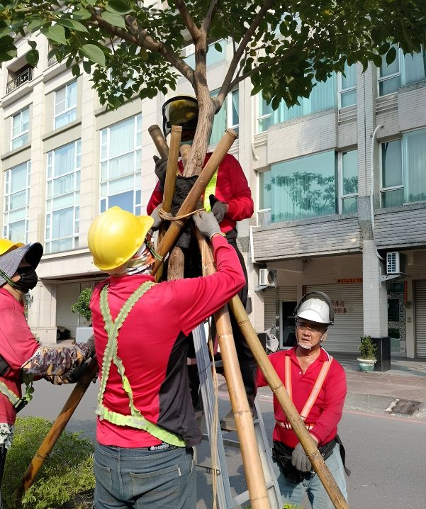 薔琵颱風逼近! 高市公園處全面強化防颱整備 守護市民安全