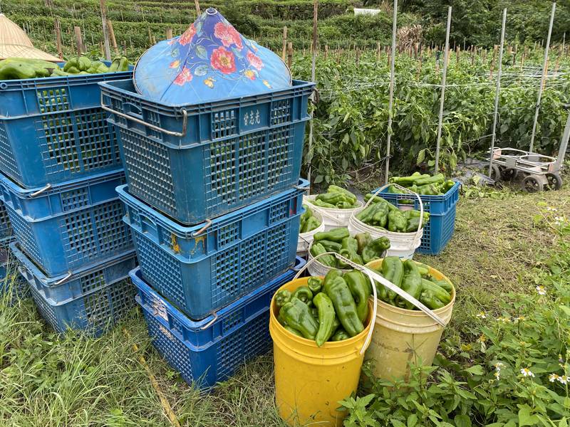薔琵颱風來了 竹縣府籲農漁民朋友加強防範措施