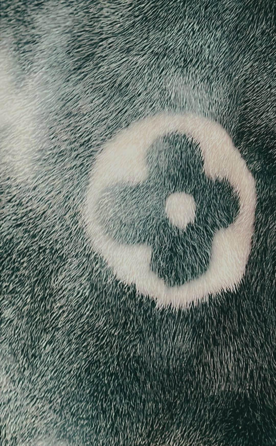 Louis Vuitton 灰色皮草上的 Monogram 花卉圖騰