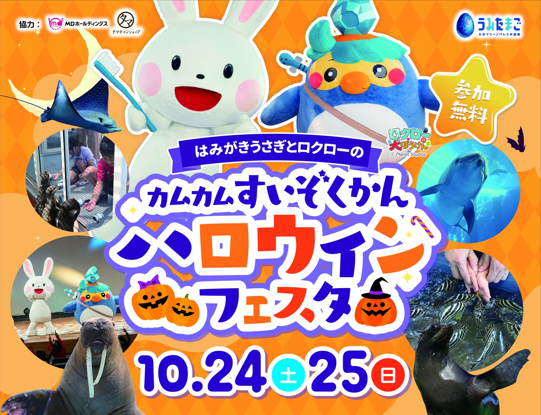 大分海洋宮水族館「海蛋」萬聖節祭10月24、25日　刷牙兔舞蹈秀，小朋友餵海豹
