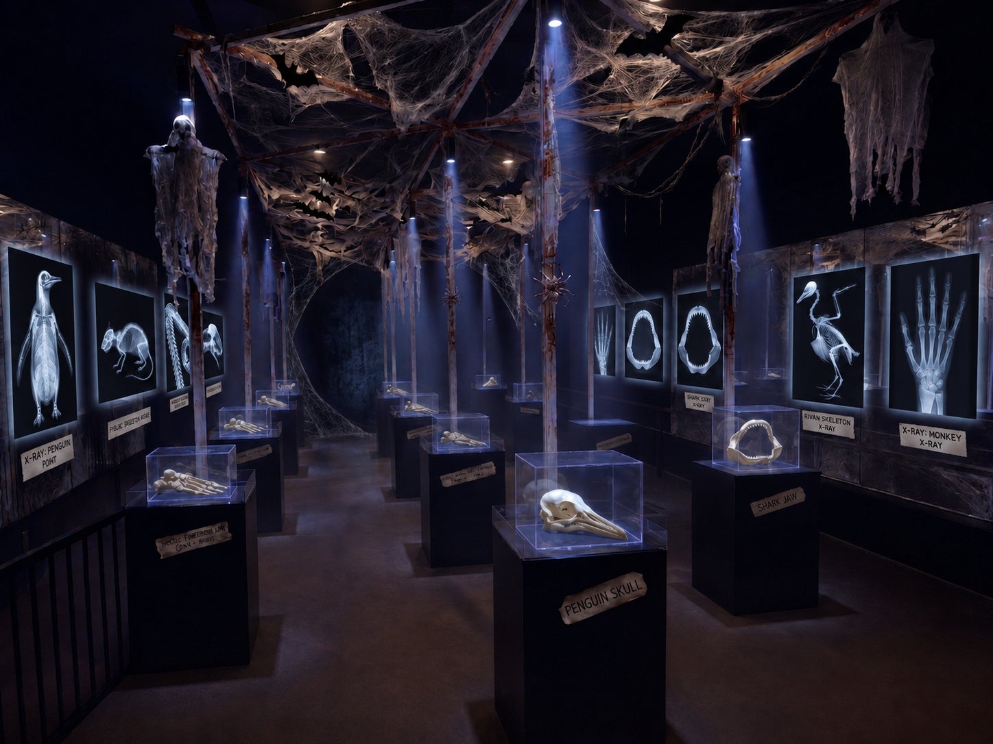 愛知南知多海濱樂園萬聖節 10月31日小小獸醫X光體驗,骨骼特展至11月3日