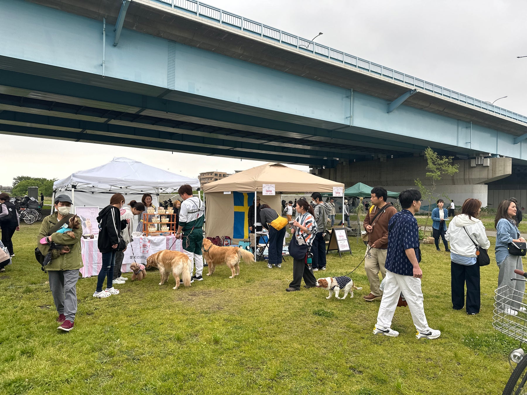 二子玉川多摩川河岸「Pet Wink Market」10月31日 帶寵物逛市集、見保護犬,免費入場