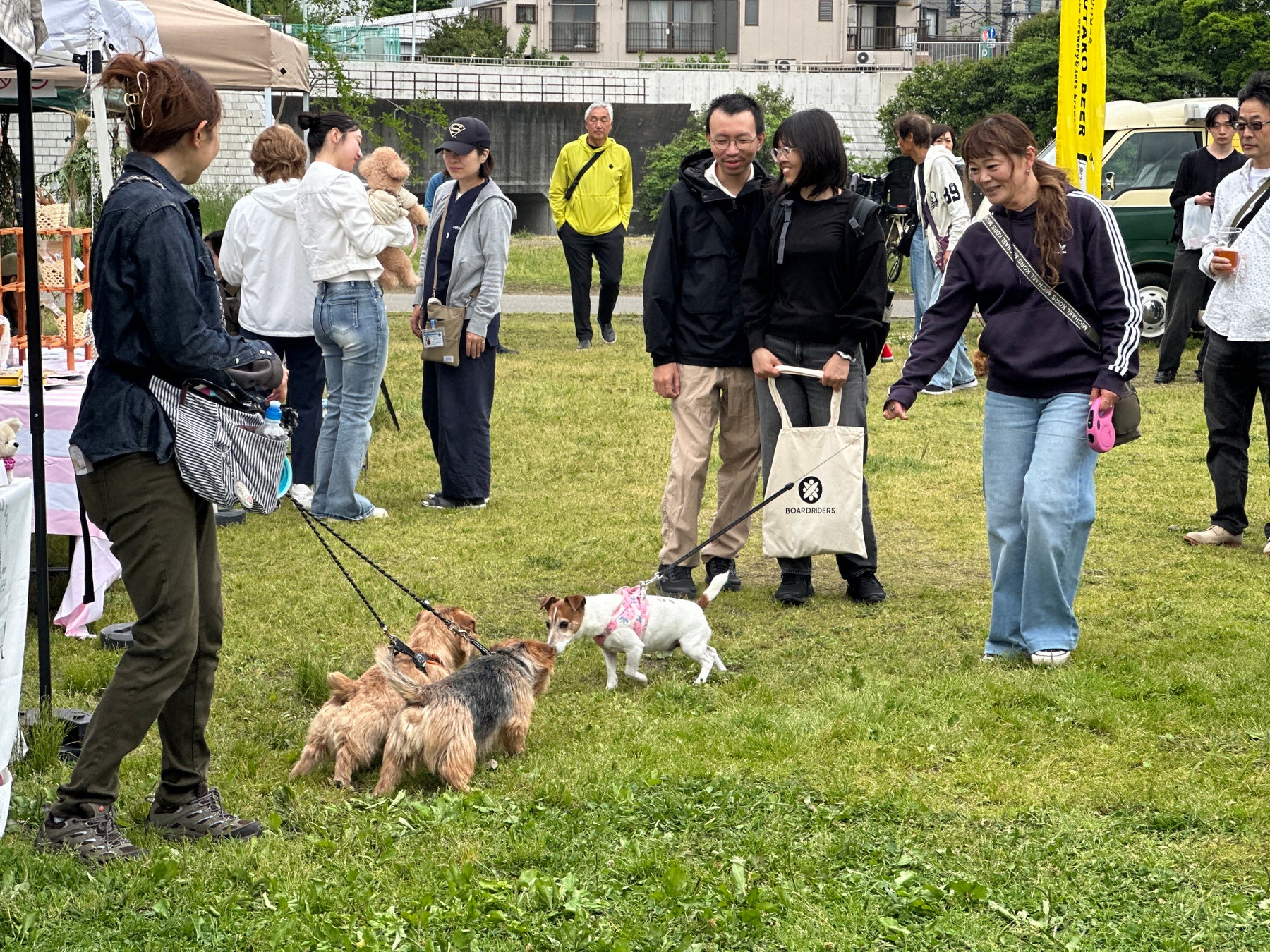 二子玉川多摩川河岸「Pet Wink Market」10月31日 帶寵物逛市集、見保護犬,免費入場