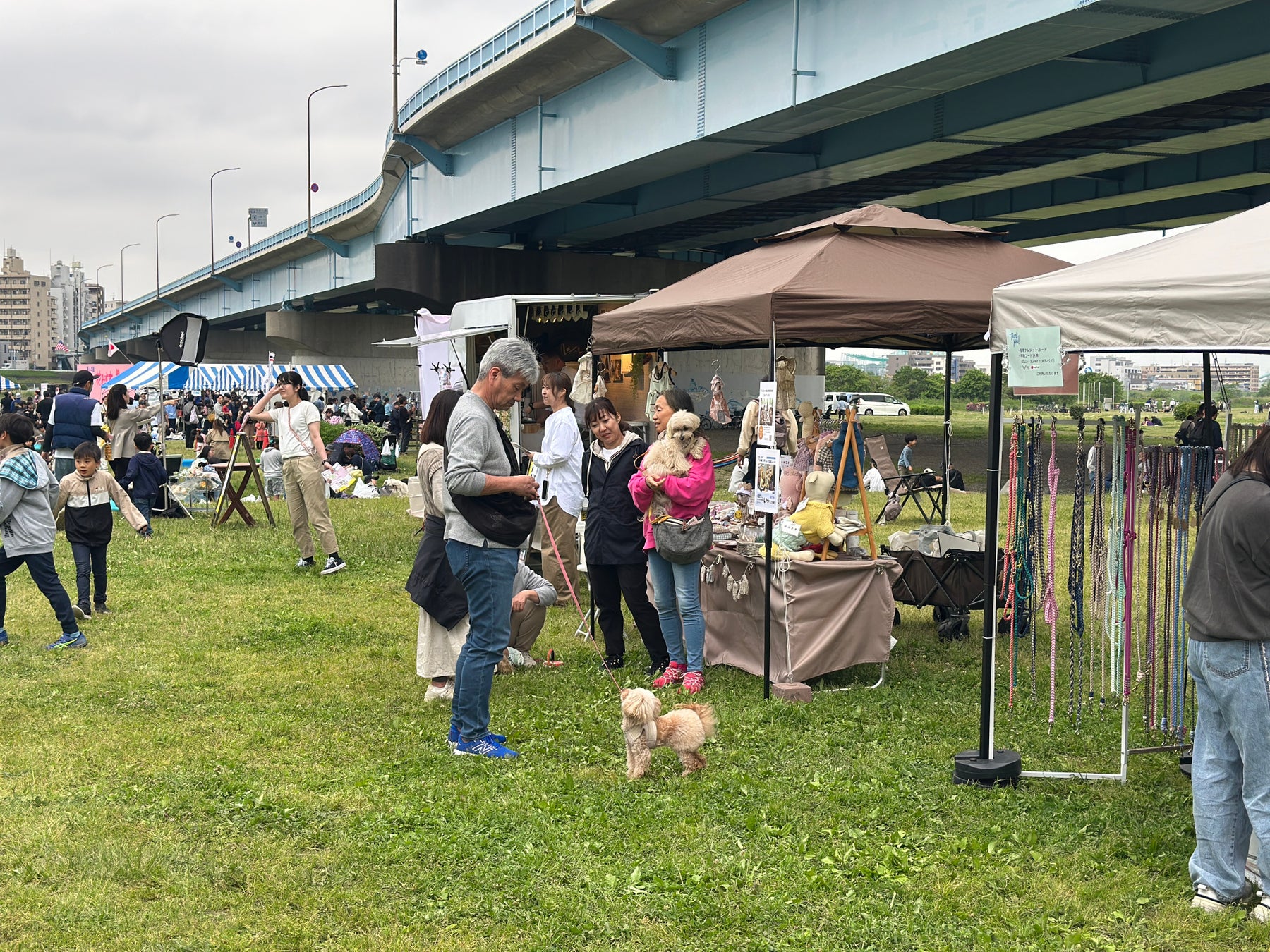 二子玉川多摩川河岸「Pet Wink Market」10月31日 帶寵物逛市集、見保護犬,免費入場